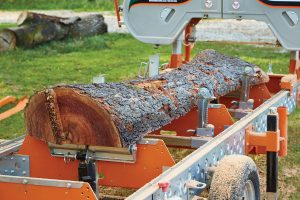 Milling Your Own Lumber | Popular Woodworking